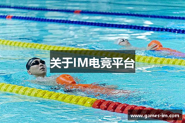 关于IM电竞平台